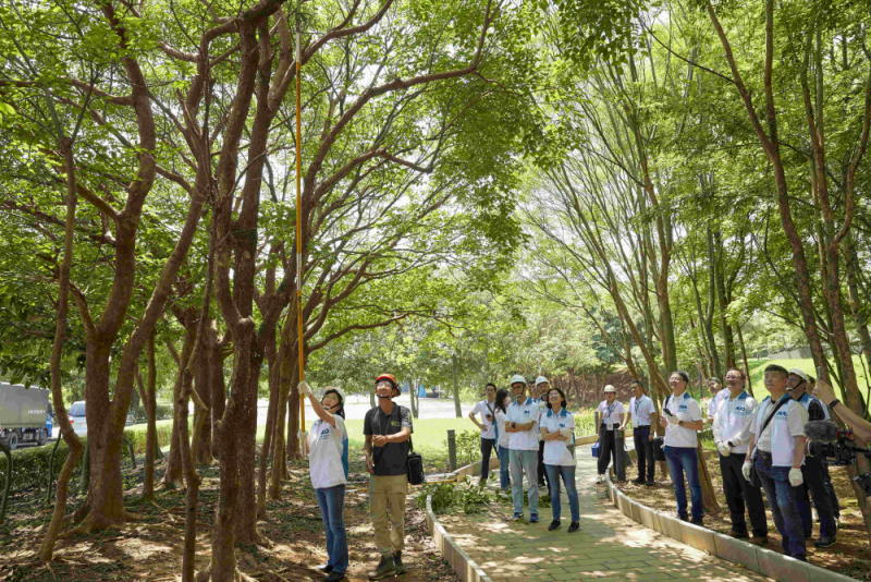 ˇ���̌�(d��o)����J(r��n)�R��ľ���z���Ľ�����r���W(xu��)��(x��)��֦����֦����