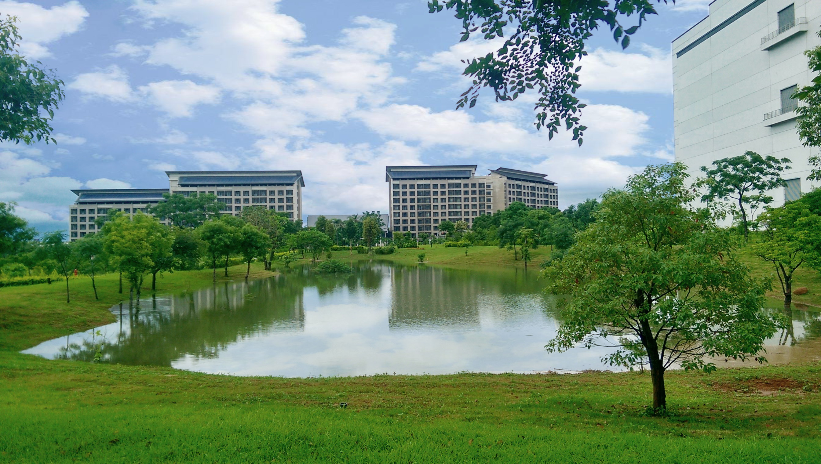 LEYU�پW(w��ng)푑�(y��ng)��(gu��)�H���h���������څ��(sh��)���״ΰl(f��)��TNFD��Ȼ���P(gu��n)ؔ(c��i)��(w��)��¶��(b��o)�����뢄����_չLEYU�پW(w��ng)�������������֮���Z�����~���c��Ȼ���C����