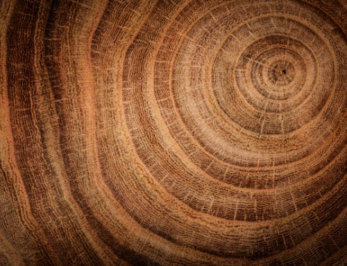 �h�����m