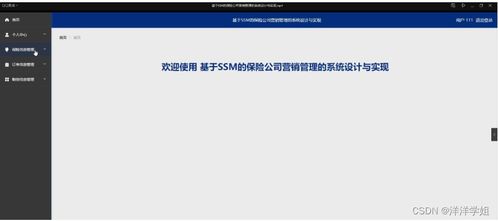 朝陽保險(xiǎn)公司營銷管理系統(tǒng)（SSM框架）設(shè)計(jì)與實(shí)現(xiàn)——新手入門指南